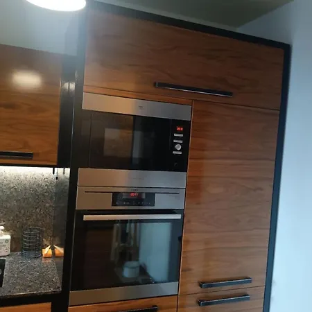 Solid In Zolit 里加