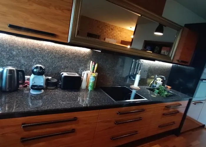 Solid In Zolit 公寓 里加